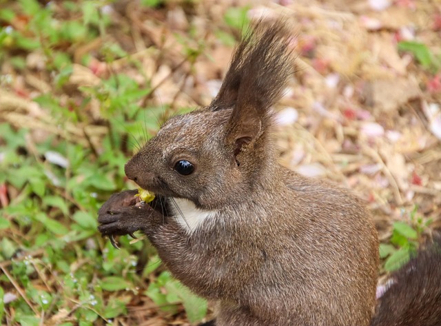 Iris Ackerman tweet media