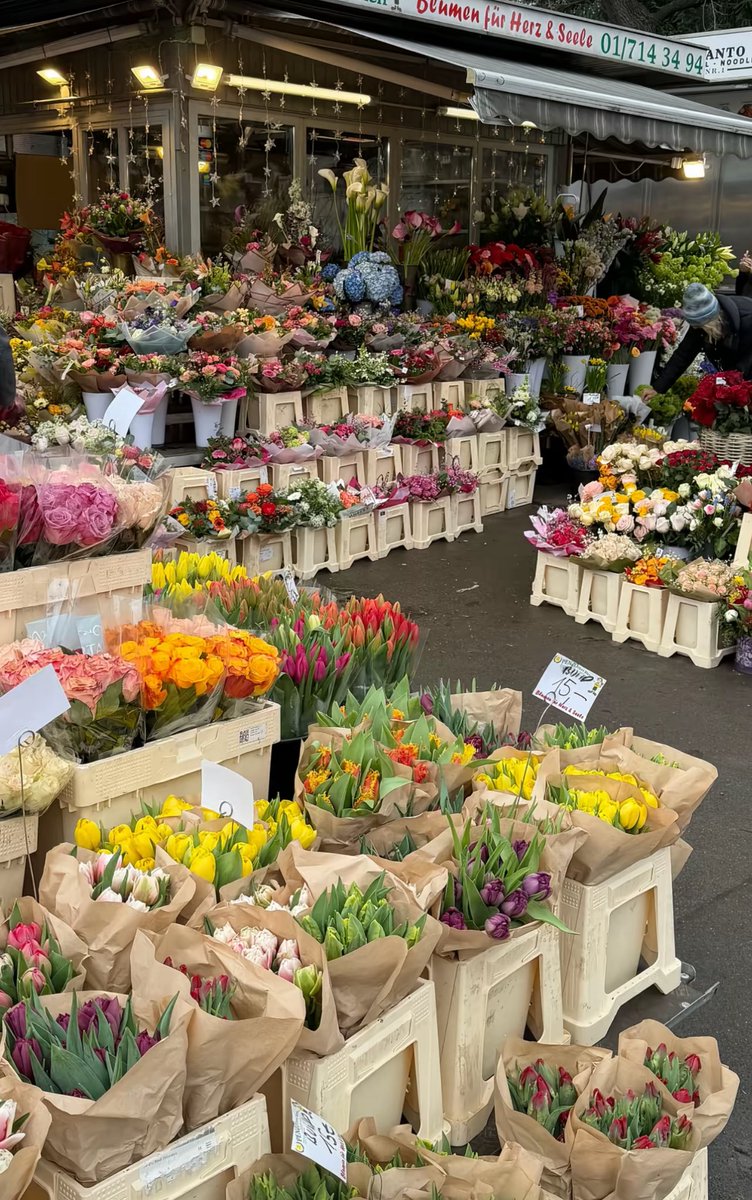 Flowerland (@flloverland) on Twitter photo 