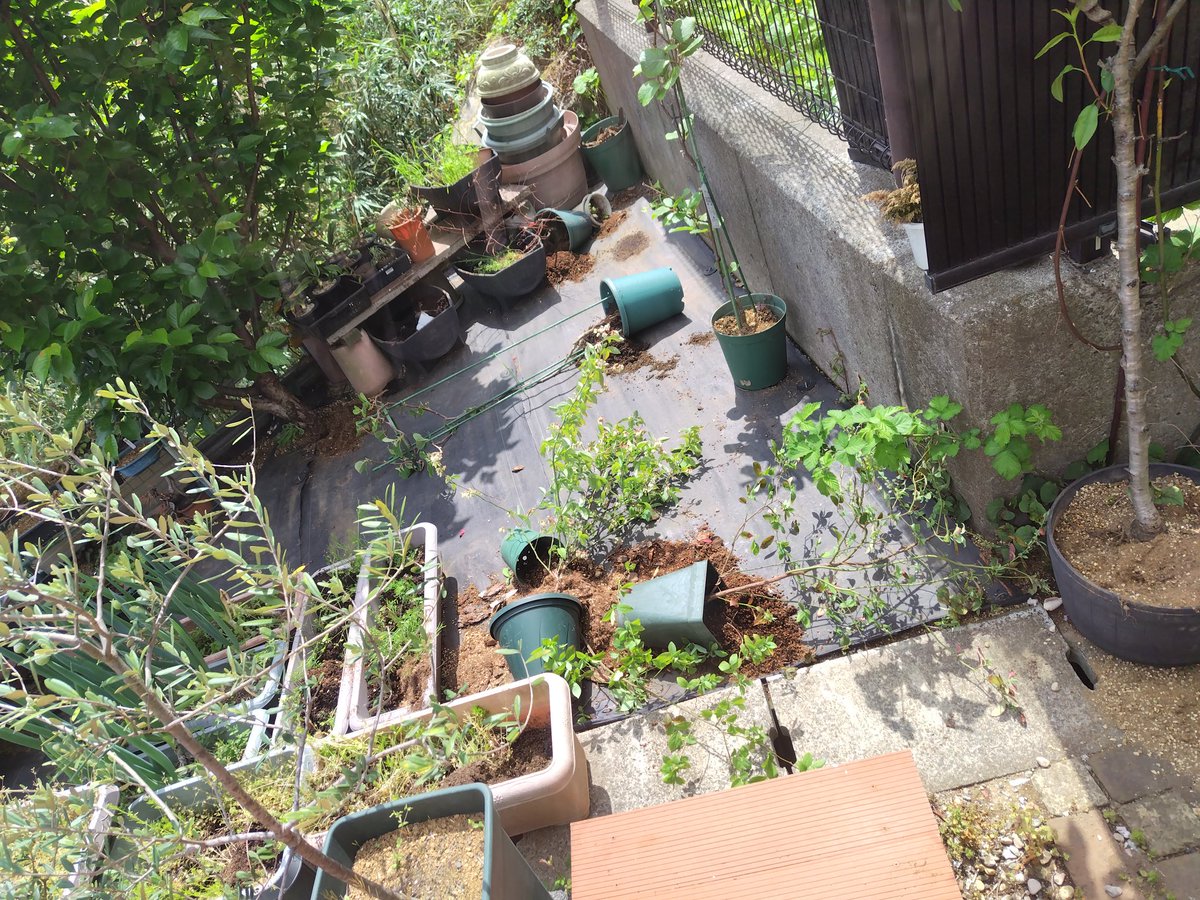 た～みっち tweet media