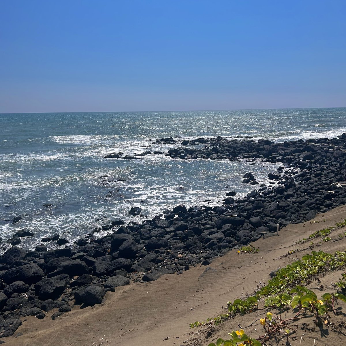 maria paula tweet media