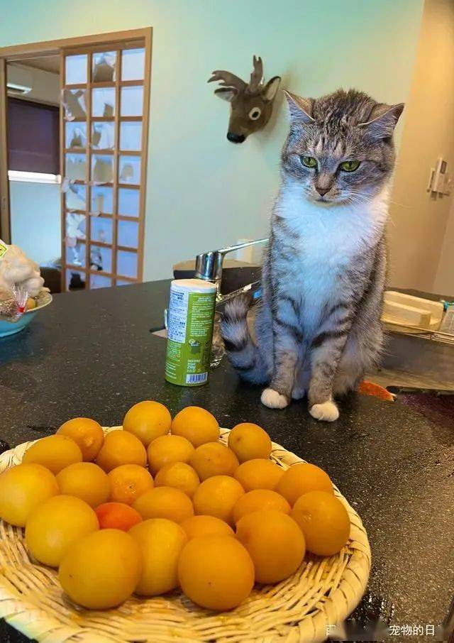 Tyler Washington tweet media