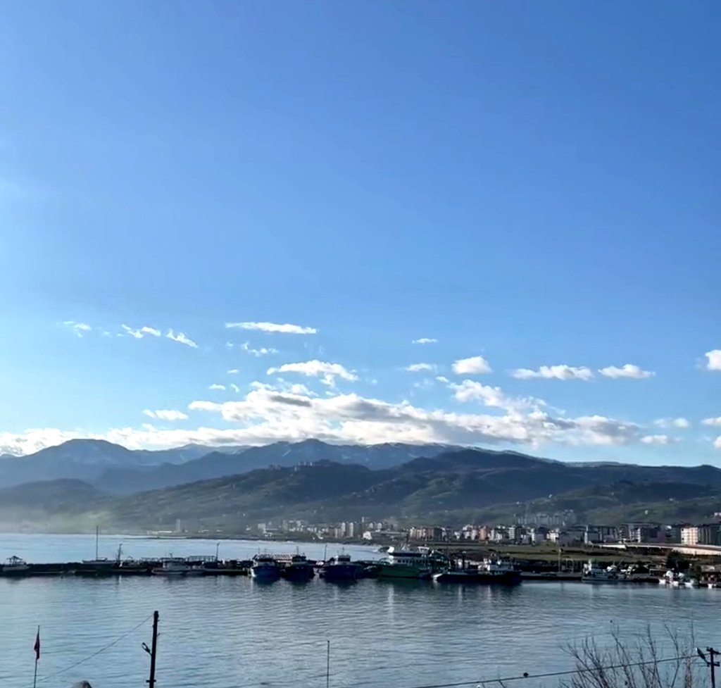 Emine 🐞 tweet media