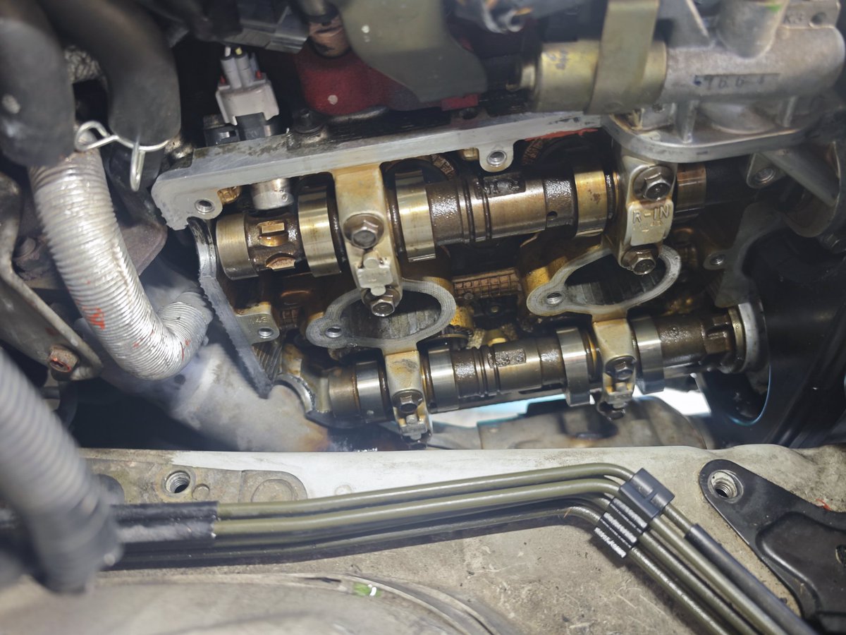 ウィキラー小林🤙🏻 tweet media