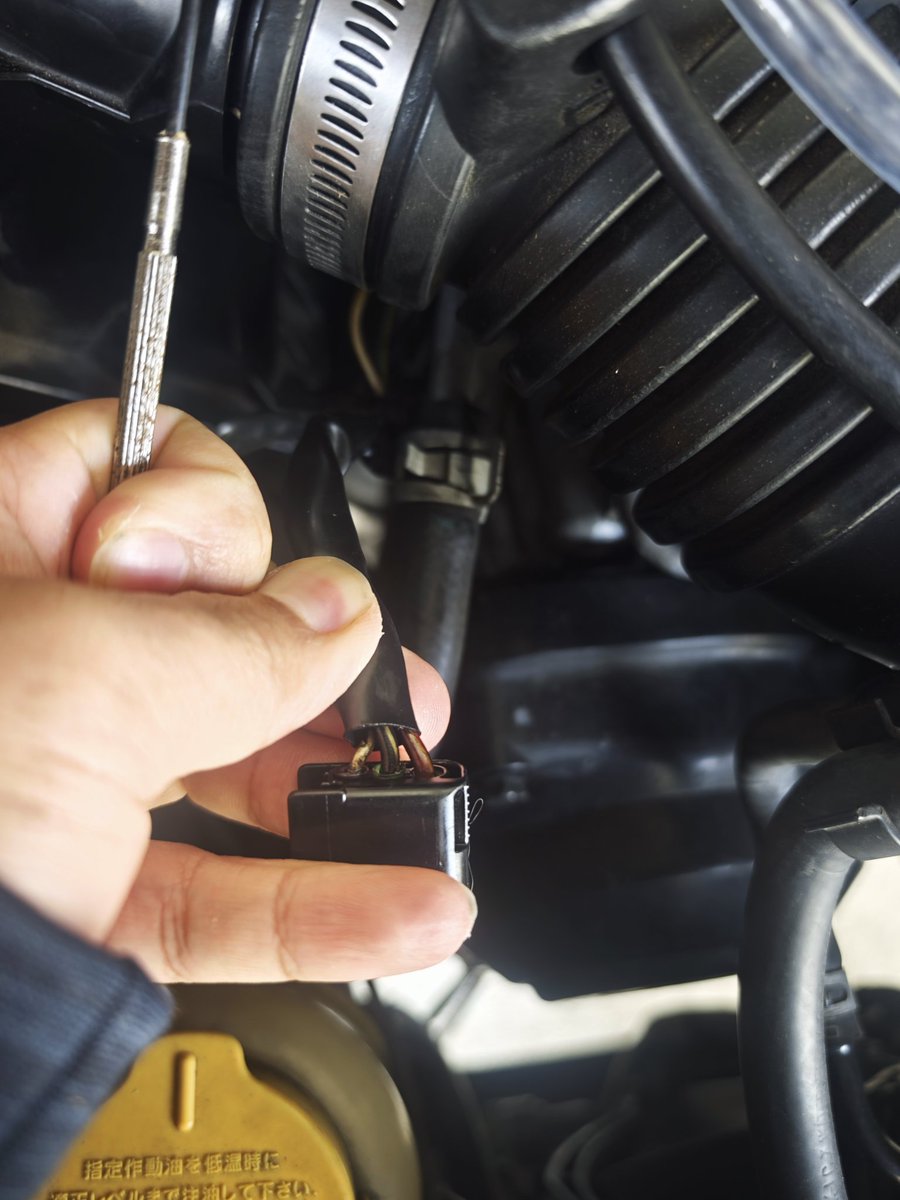 ウィキラー小林🤙🏻 tweet media