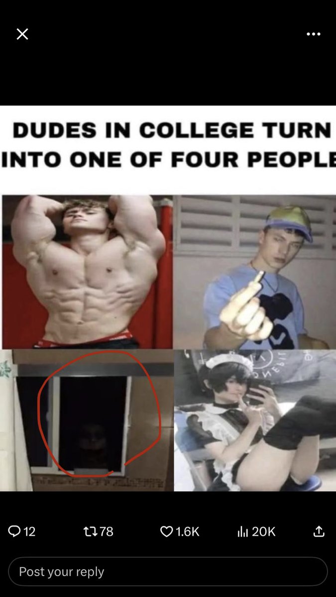 BlitzkriegLover1941 tweet media