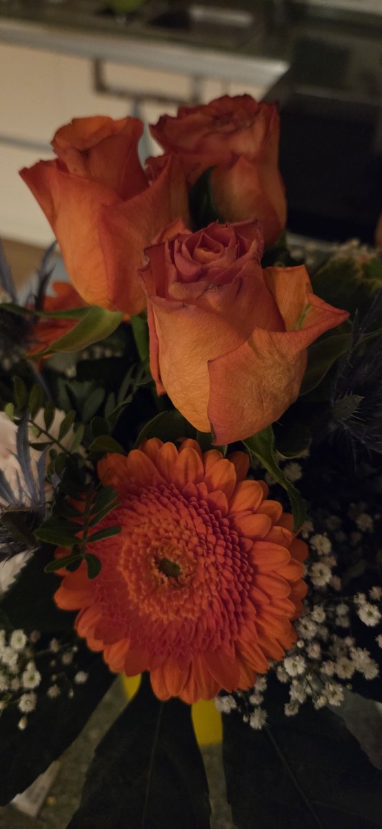 fahrraddreamer's tweet photo. Heute alles in Orange
🧡🧡🌺🌺🧡🧡
Schönen guten morgen gewünscht
🧡🧡🌺🌺🧡🧡
Bis später. Habt euch lieb
🧡🧡🌺🌺🧡🧡
#FlowerPower #orange #BeautifulFlowers #leather #HeelsOfTheDay #girl #onlyfriend https://t.co/54TR5gkD05