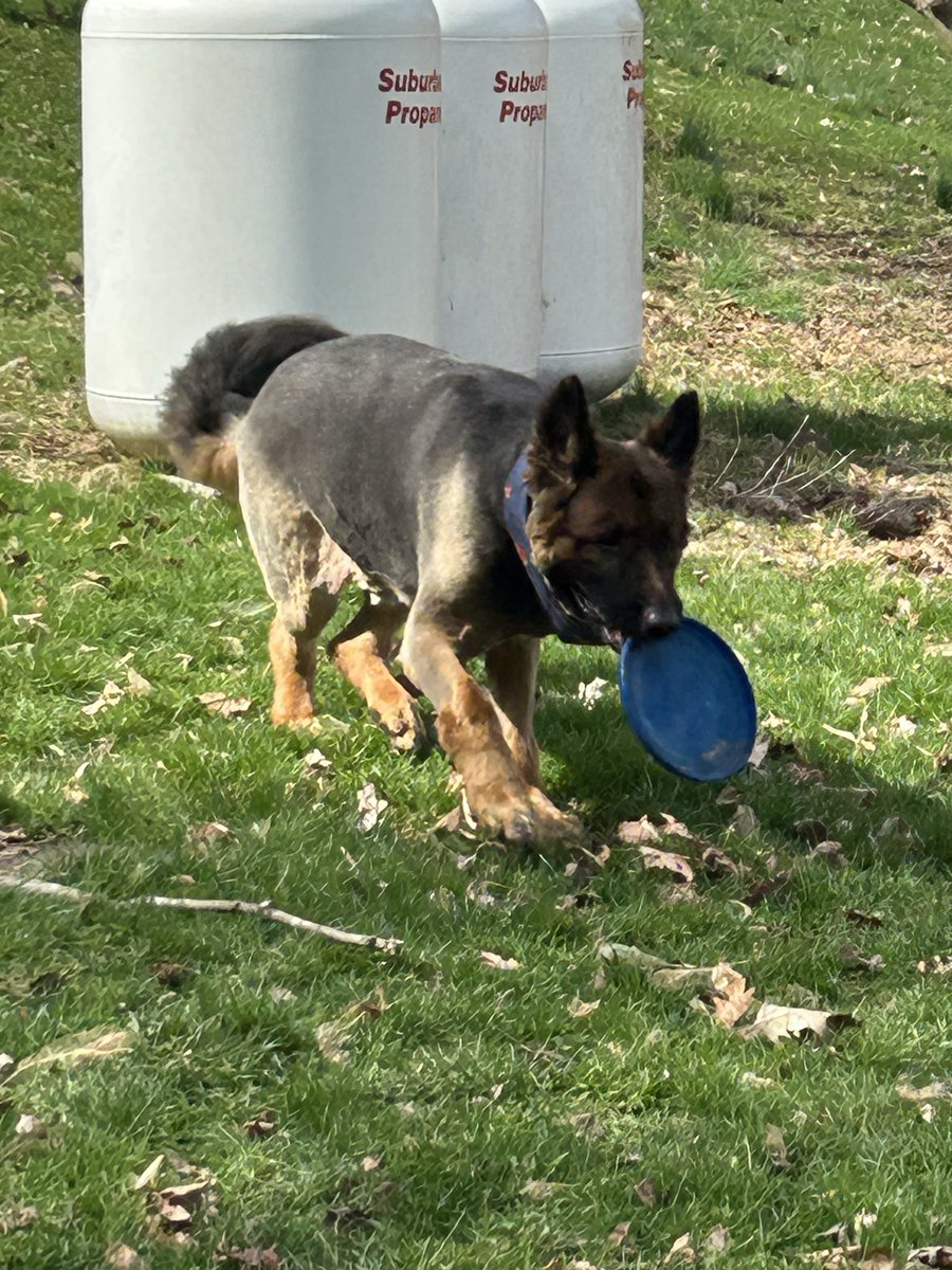 Megan Fox tweet media