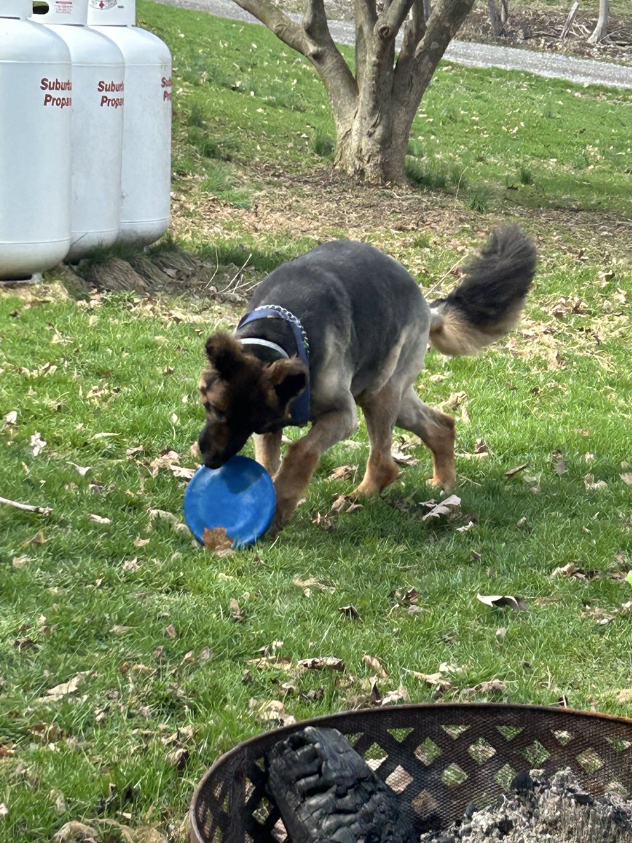 Megan Fox tweet media