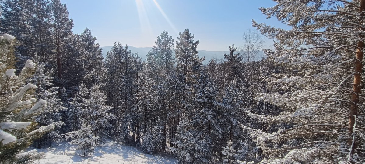 zacheteg tweet media