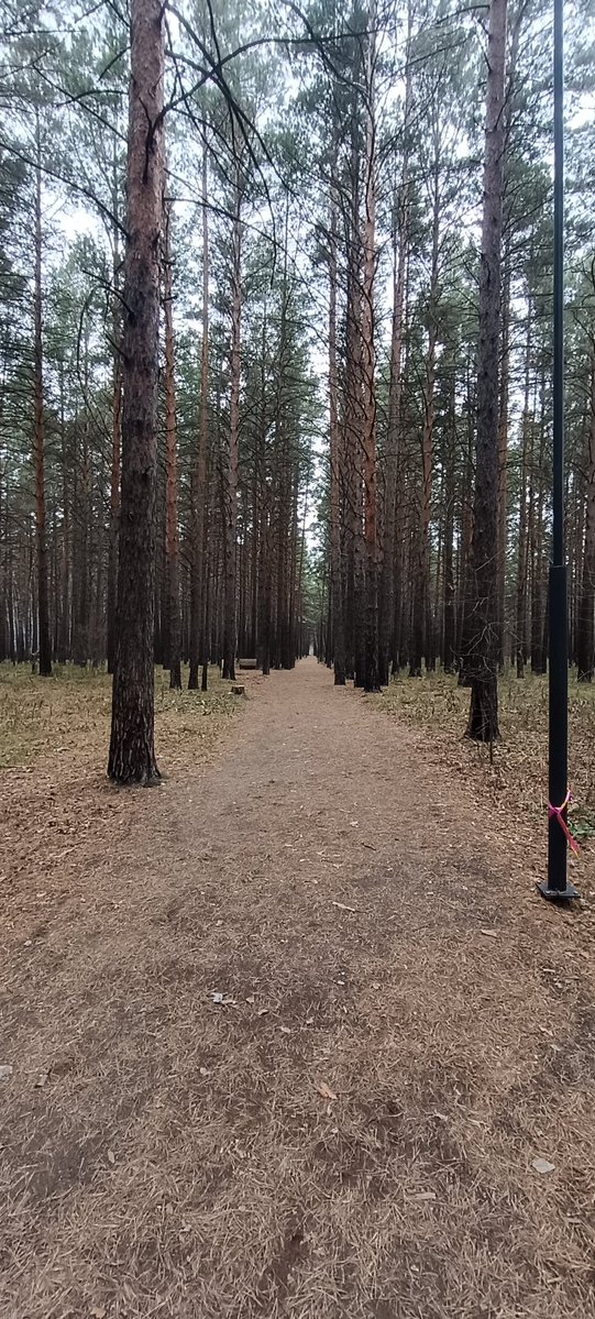 zacheteg tweet media