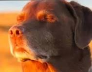 Danitrocs tweet media