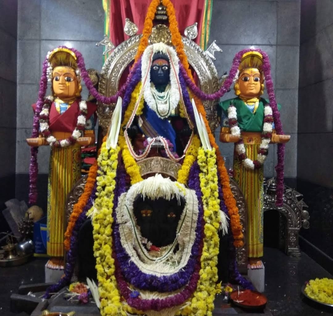 Hende-Payasa tweet media