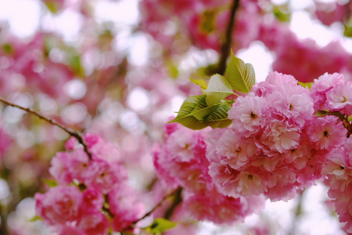 @まー3号 ⌒(。・.・。)⌒ tweet media