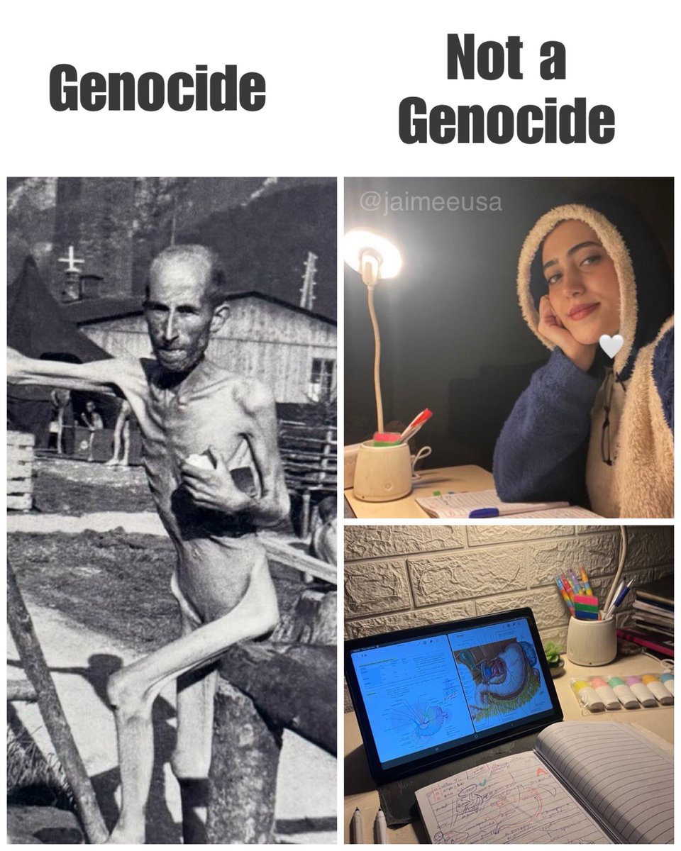 Jaimee Michell tweet media