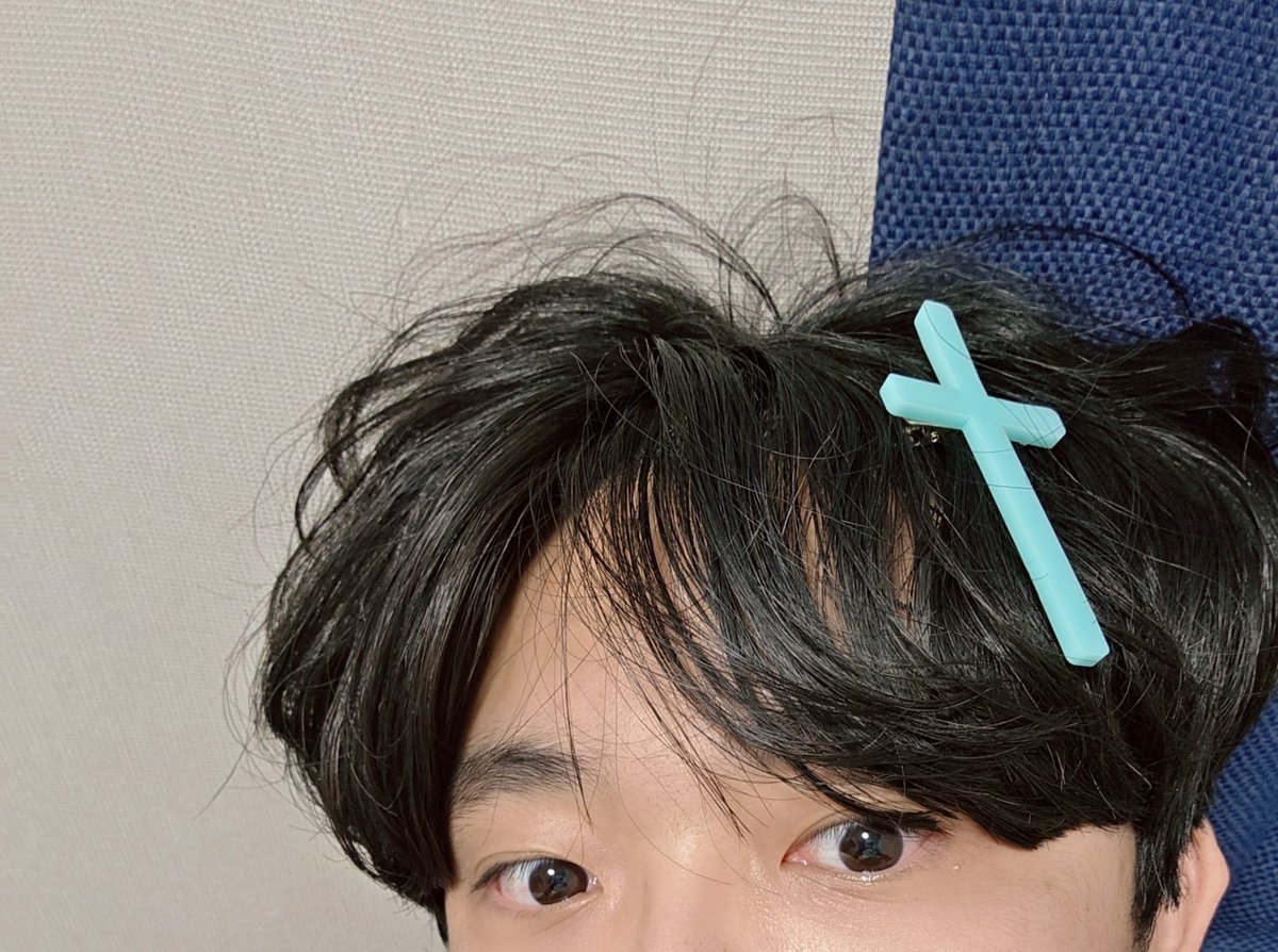 모래늑대🐺 tweet media