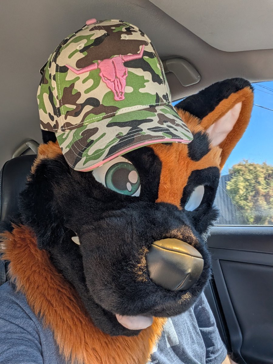 Reyfar's tweet photo. Find me at FurDu2026

✅ 
Say Hi
Photos!
Hugs :3
Call me dog <3 https://t.co/rfLgkJCVbx