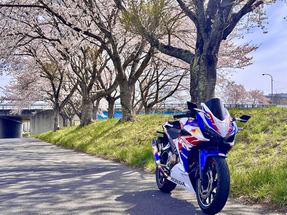 くりむら ひろ tweet media