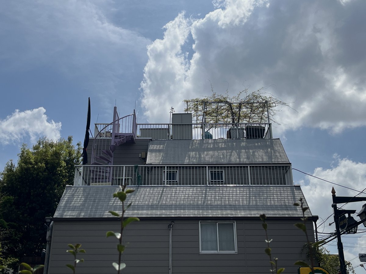 no_kishita's tweet image. 