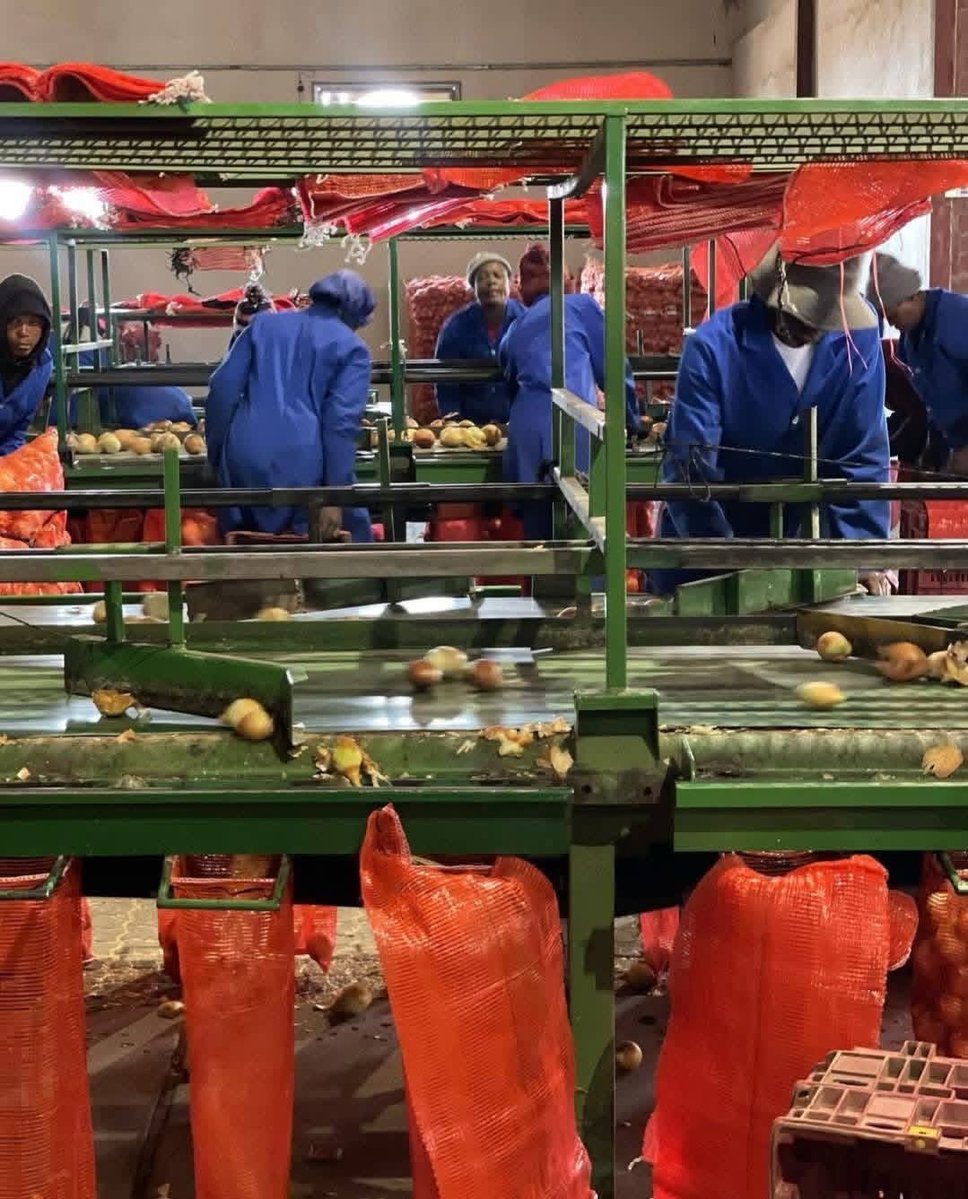 Katlego Maseng 🧠 tweet media