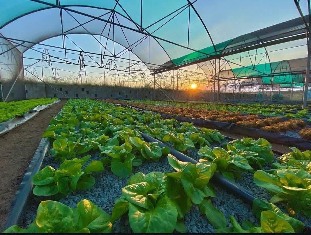 Katlego Maseng 🧠 tweet media