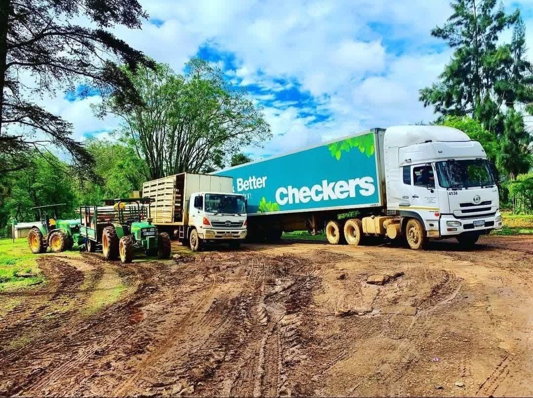 Katlego Maseng 🧠 tweet media