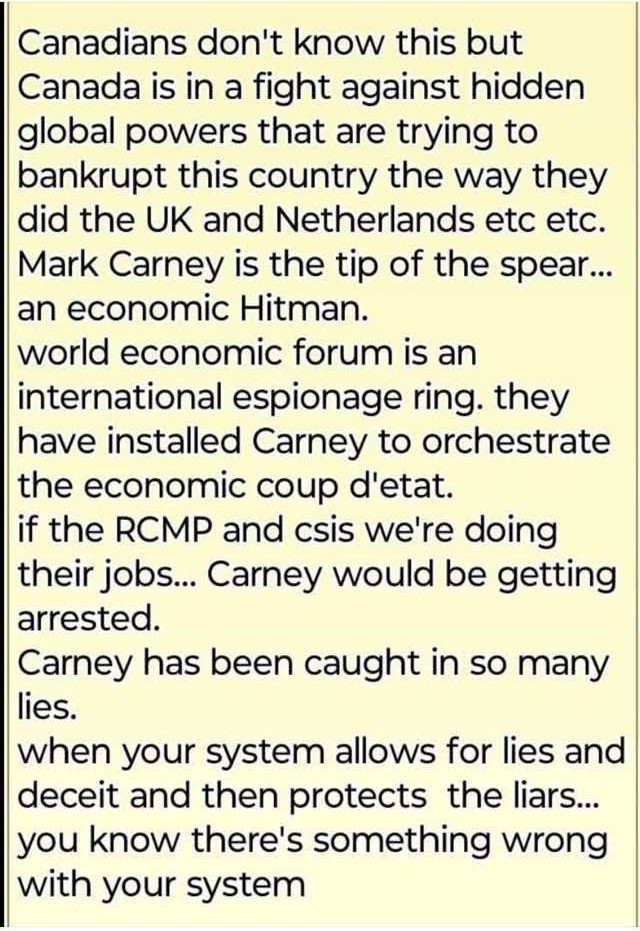 Elle's Place 2 tweet media