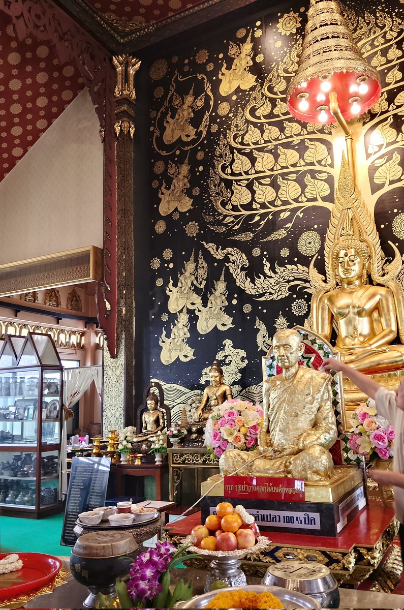 OnlyLove🌼🌿🤍🍎☀️ :) tweet media