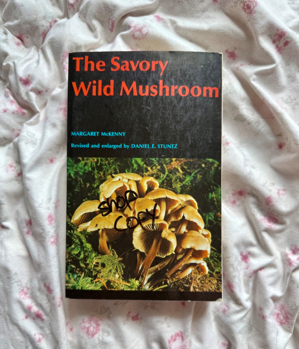 rhi 🐚🌷 tweet media