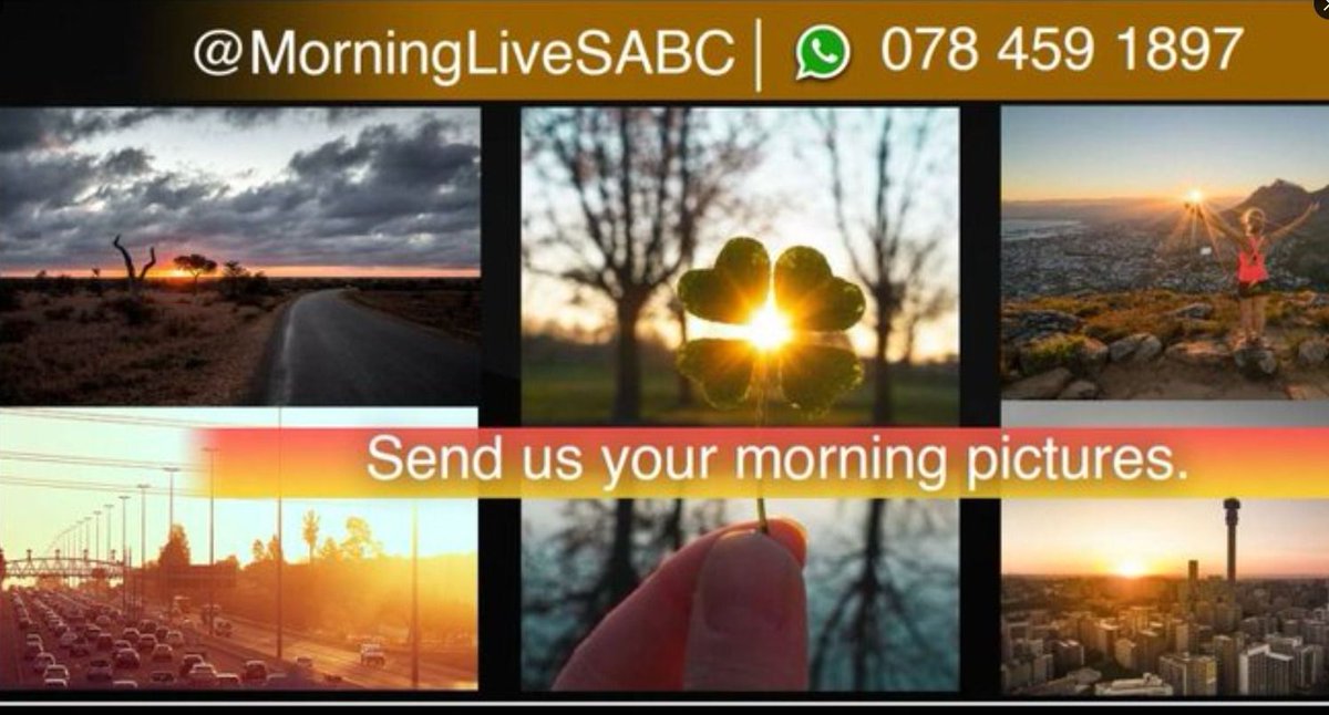SABCNews_MorningLive tweet media