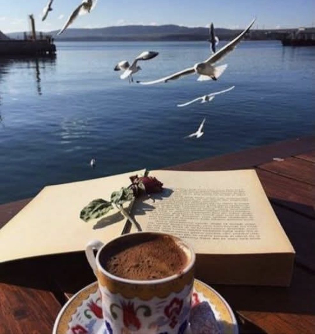 NecdiyeY's tweet image. “Bazı insanlar hayatımıza ders vermek için gelir, kalmak için değil.”
☕️🌷🍀🐞🍀🪴🌴🌿🌸
   
  #Günaydın  #YAŞAMAK 🦋♾️🌸

     #Salı   14  #Nisan 💙💗🌲