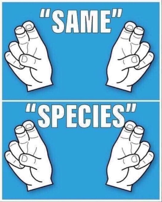 Jason7314 tweet media