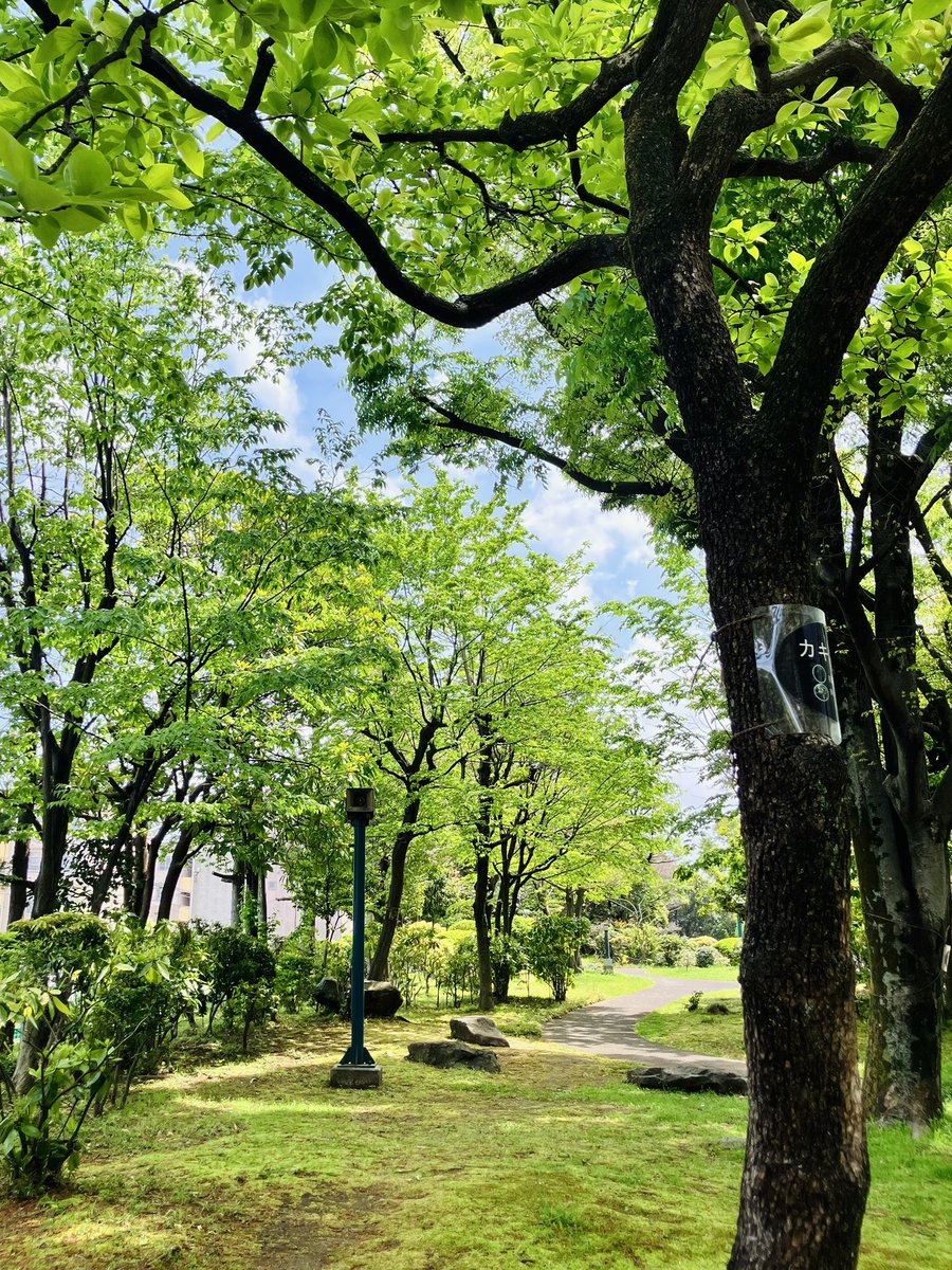 ぽにまる🐾👌 tweet media