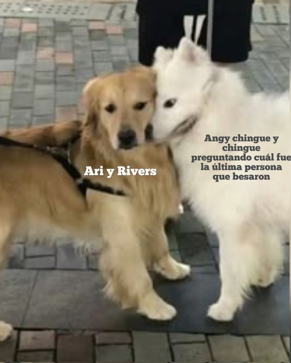 pollito fantasma 🏆🏆 🤍🖤🐥👻🍓💍☁️💎🦋 tweet media