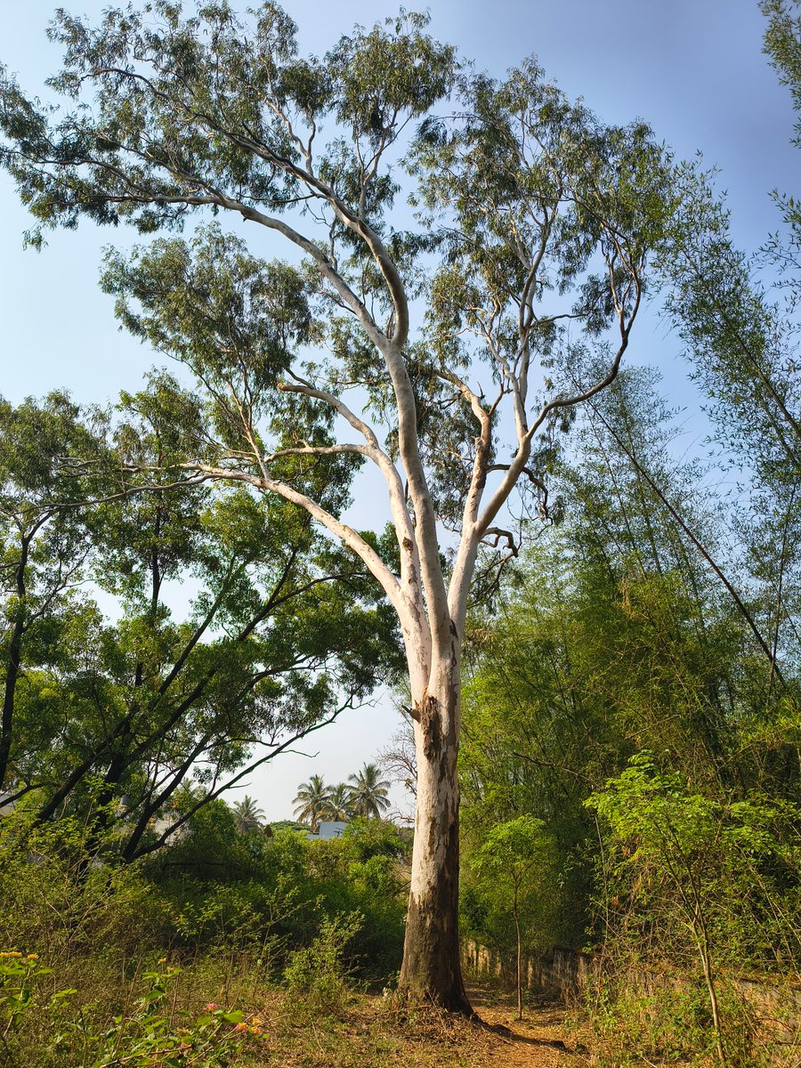 Tushar1094's tweet image. Same object, different story.

#Perspective #Angles #Photography #NewView #Details #CreativeEye