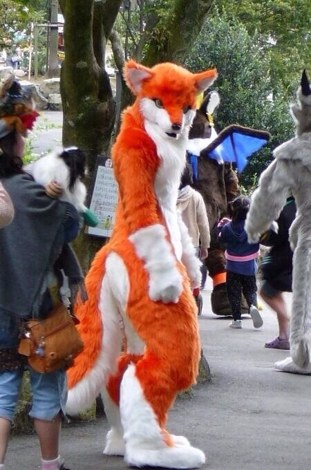 H.M(焔) tweet media