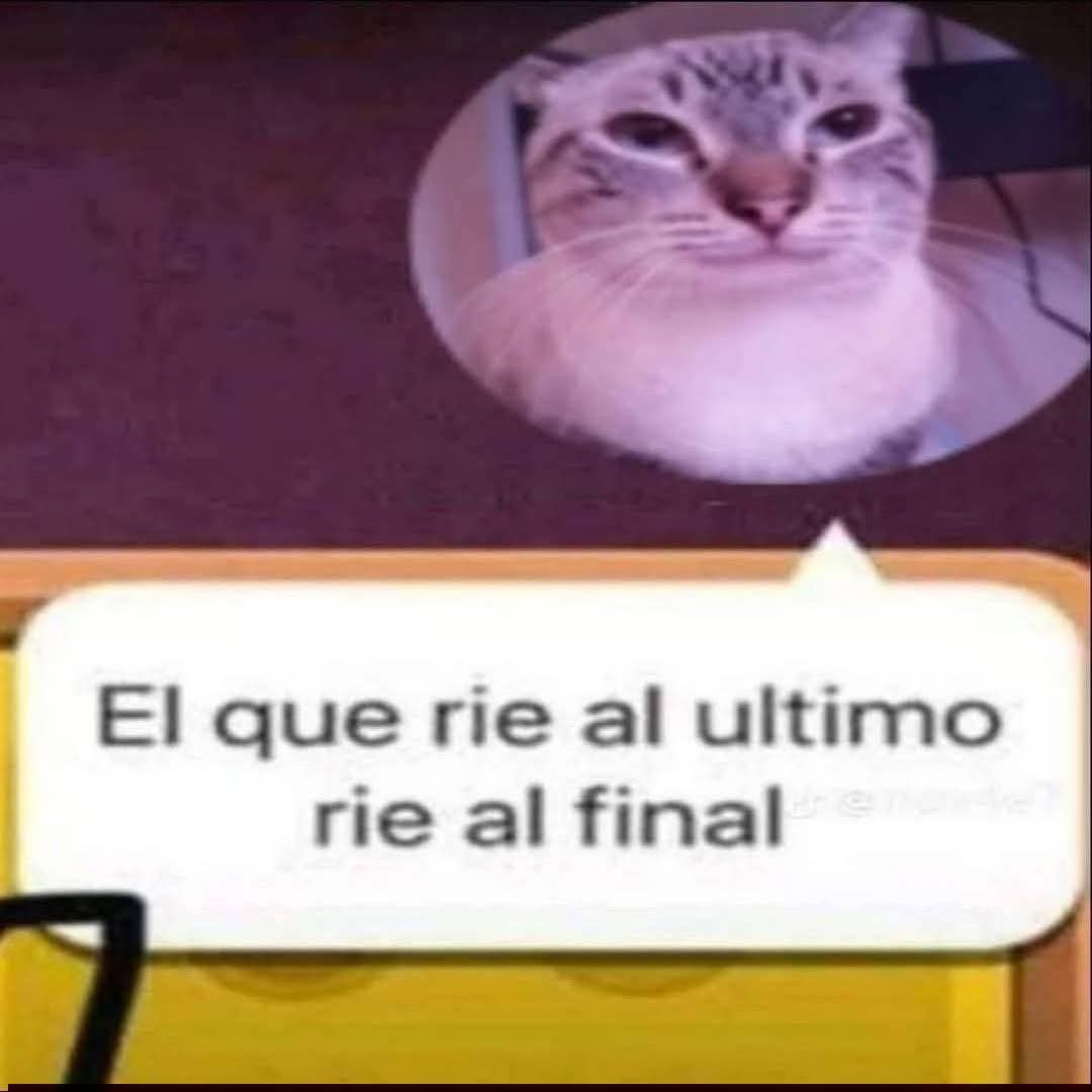 Maestre Mapaxito tweet media