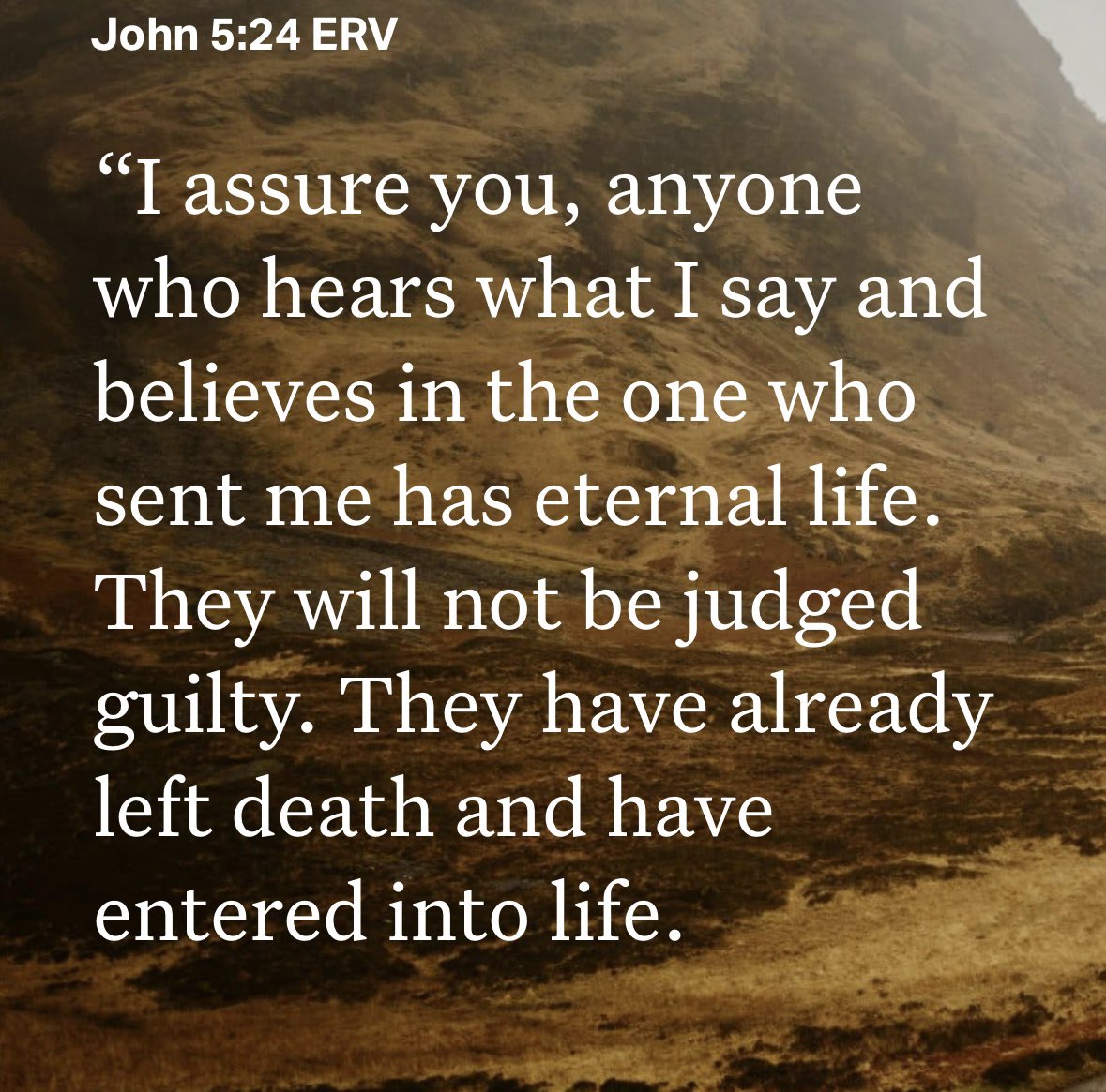 Tyler Todt tweet media