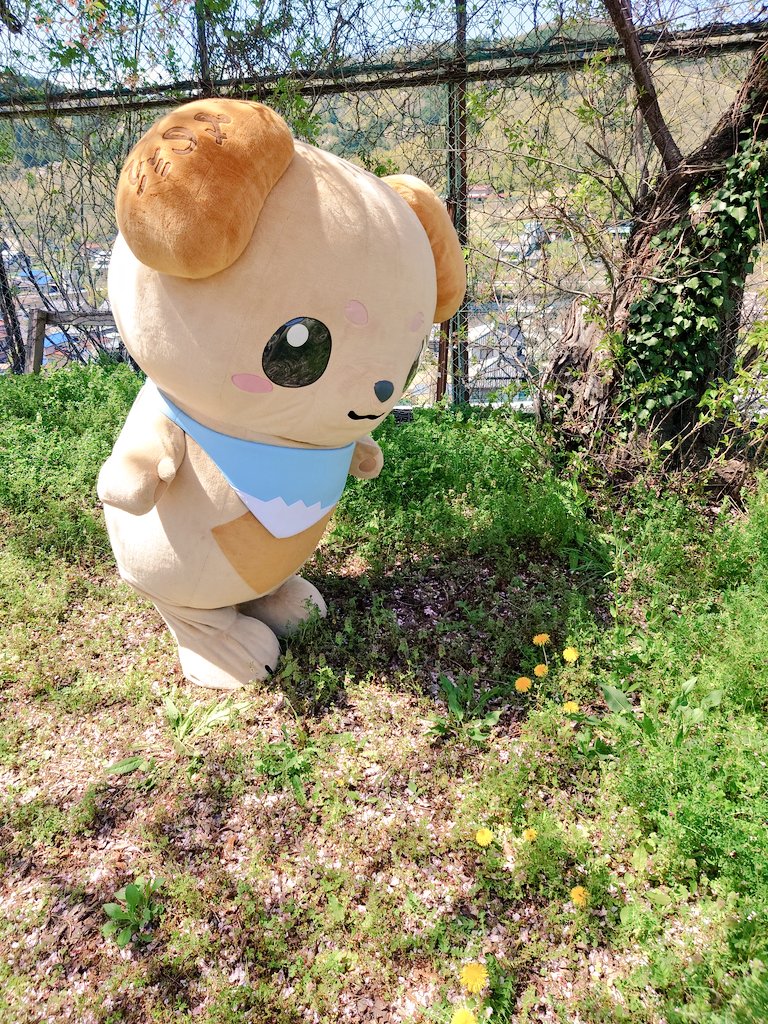 みのワン【身延町公式】 tweet media