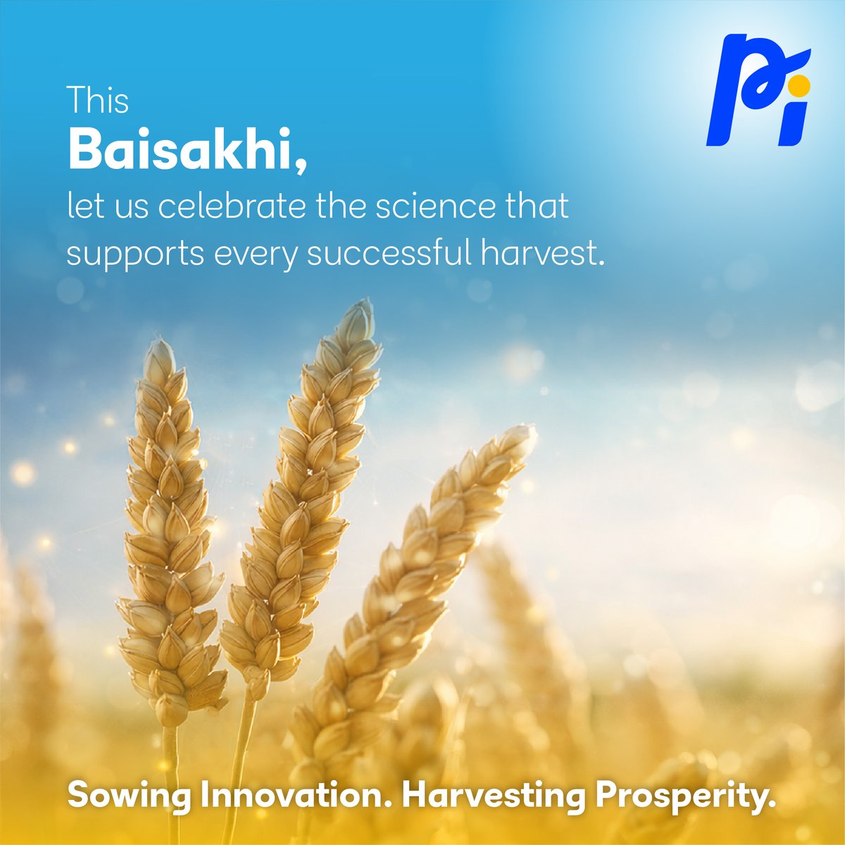 PI Industries Ltd tweet media