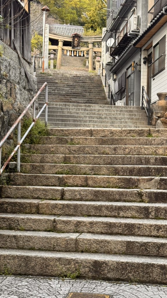 きぃ✿˘︶˘✿*:*❀:*ﾞ🍀 tweet media