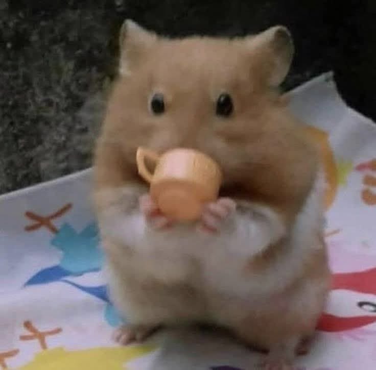 Lia Alexandra tweet media