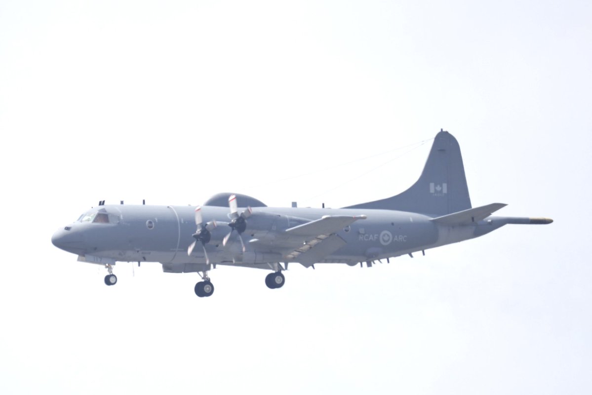 plusty11's tweet image. RJTY 横田基地
2026/04/14 12:35
P−3 Canada
R/W18 ↘︎

#rjty
#横田基地
#p3
#caf613