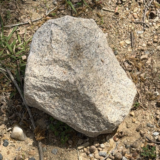 Michael C tweet media