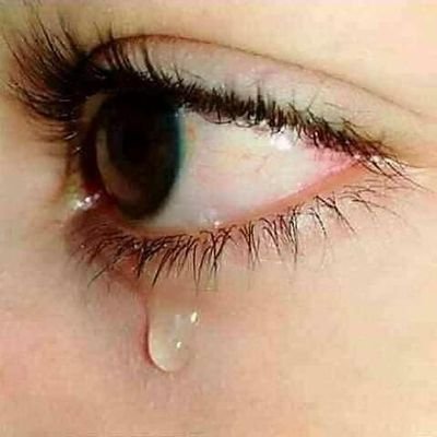 Log Out😊 tweet media
