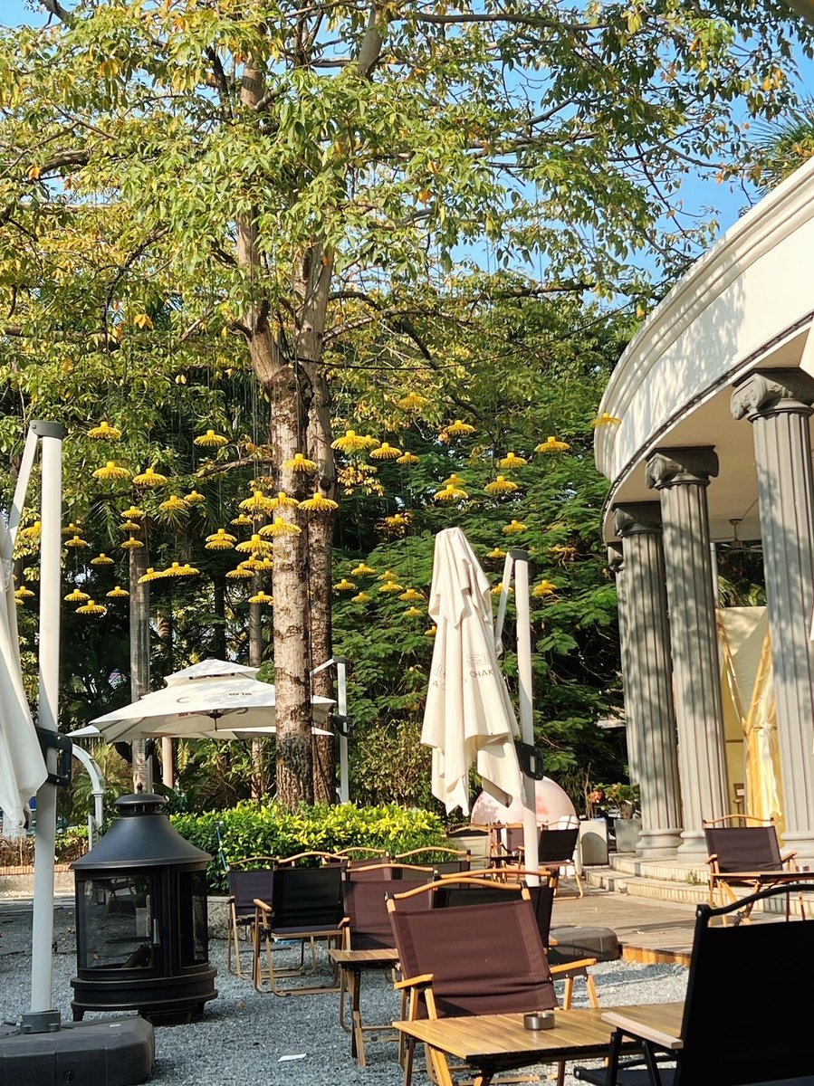 mmusta32 tweet media