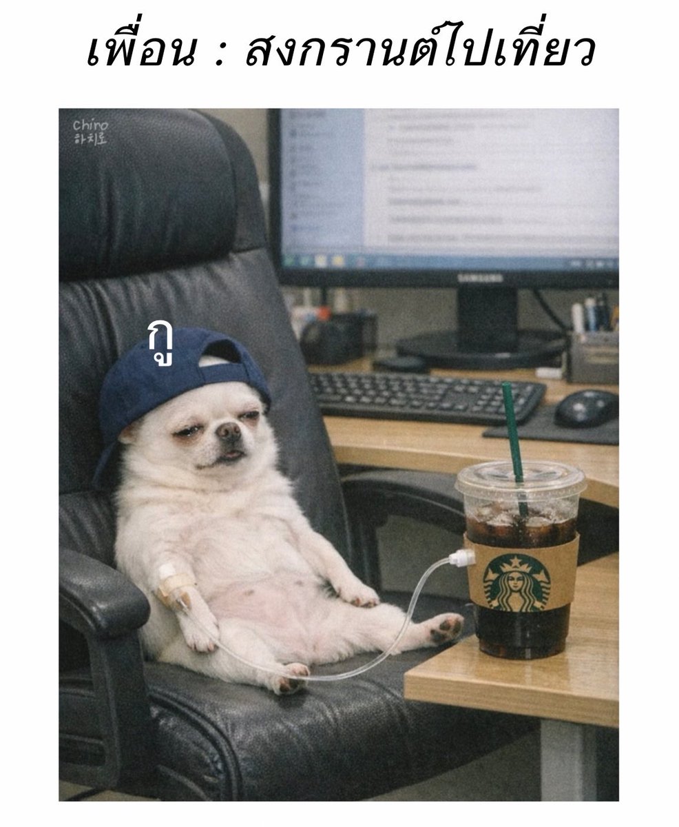 𝐥𝐨𝐥𝐨𝐧𝐠 tweet media