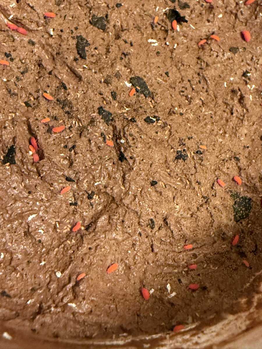 しろぼっちぃ tweet media