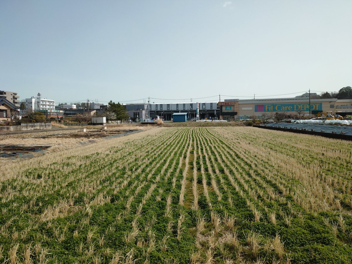 ハシタカ tweet media