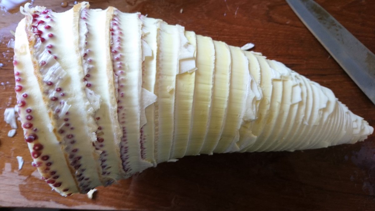 麻里♪ tweet media