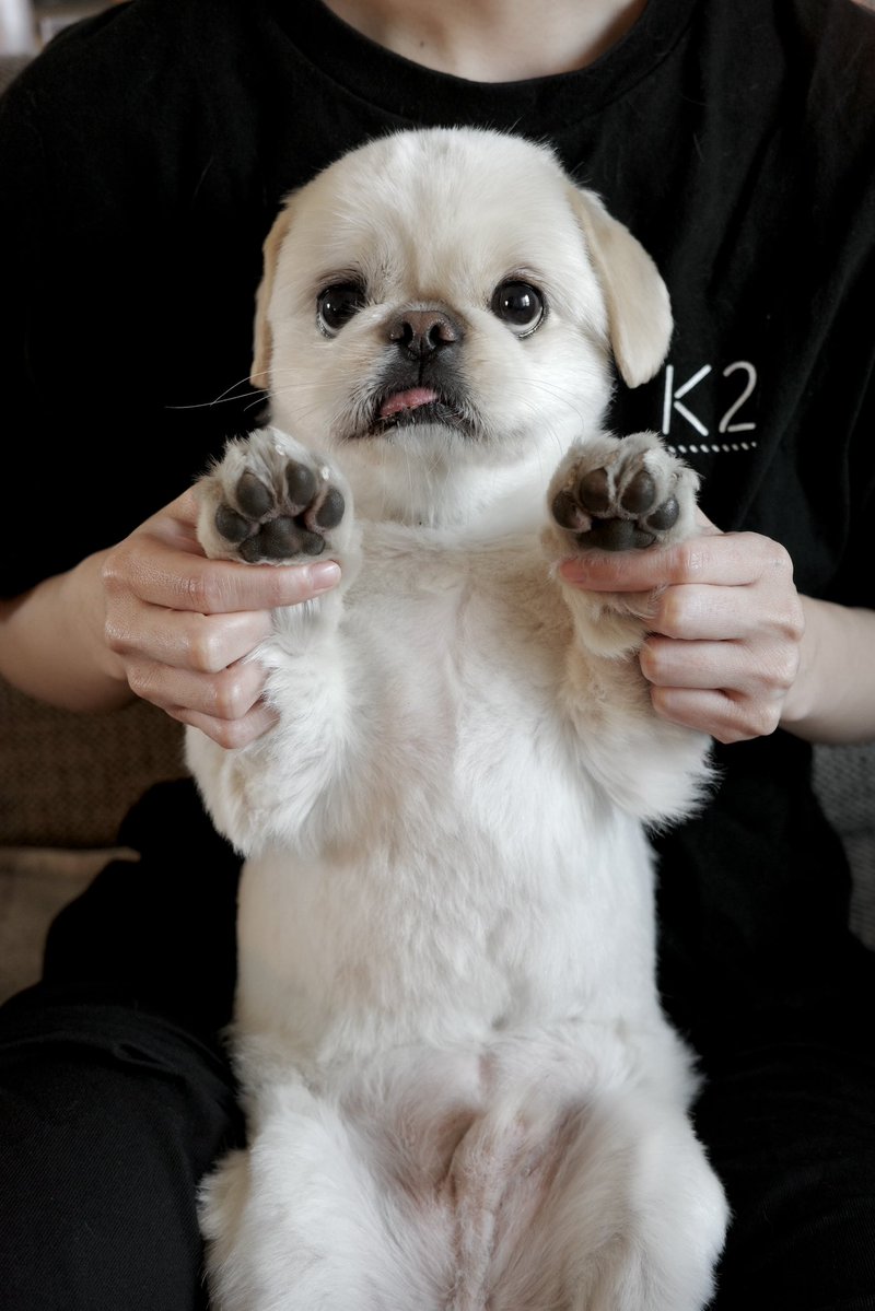 𝐿𝑂𝑉𝐸𝑌𝑂𝑈 tweet media